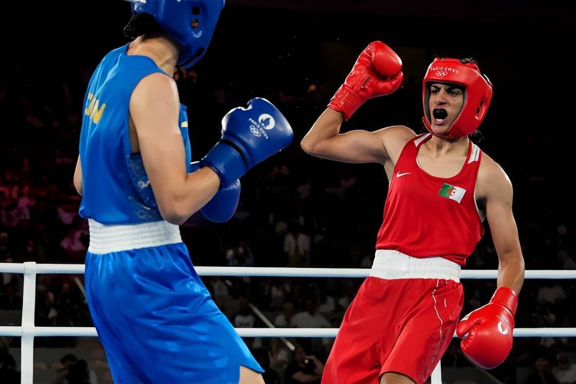 世界拳击联, 参加性别划, 所有参赛选 世界拳击联, 参加性别划, 所有参赛选